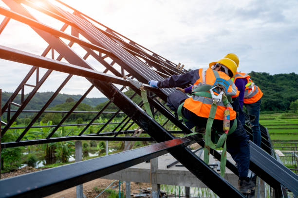 Best Roof Maintenance Services  in Luck, WI
