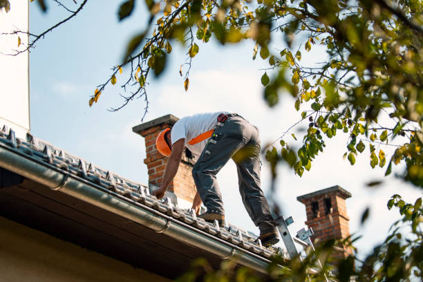 Best Commercial Roofing Services  in Luck, WI