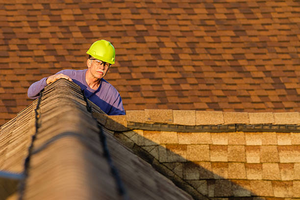 Best Roof Leak Repair  in Luck, WI