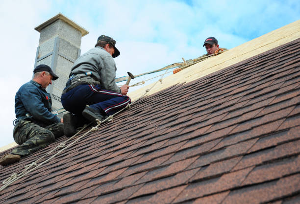 Best Roof Gutter Cleaning  in Luck, WI