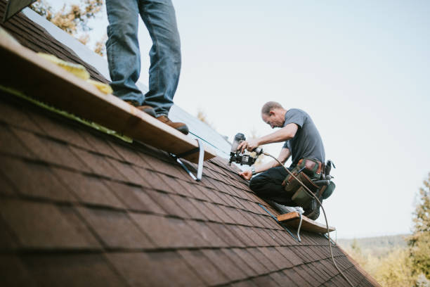 Best Local Roofing Companies  in Luck, WI