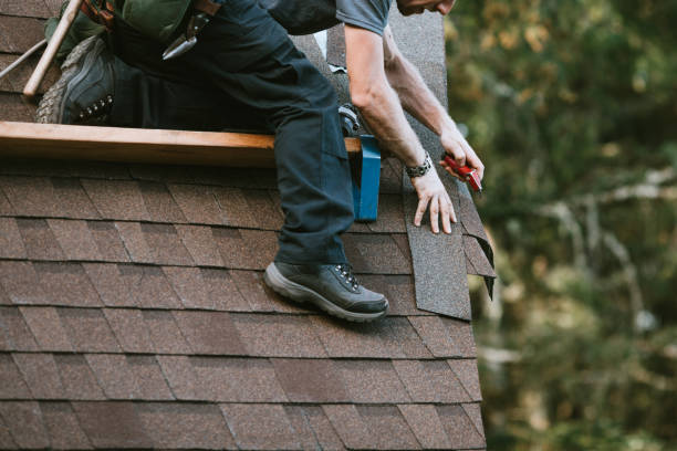 Best Roof Repair Specialists  in Luck, WI
